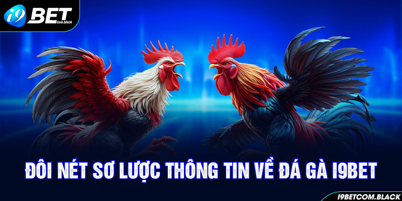 Đôi nét sơ lược thông tin về đá gà i9BET